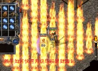 ������ο�����������۲Ƹ���