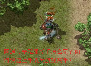 ��ͨ����˽��������ô�棿��ο������ֳ�Ϊ��Ϸ���֣�