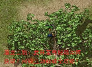 屠龙二戮:武林至尊秘籍如何获取?问鼎江湖巅峰全攻略? 屠龙二戮:武林至尊秘籍如何获取?问鼎江湖巅峰全攻略?