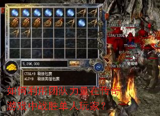 ��������Ŷ������ڴ�����Ϸ��սʤ������ң�