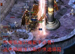 ����˽��37�����ֱؿ�����Щ���ؼ��������������