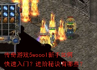 ������Ϸ5woool������ο������ţ������ؾ�����Щ��