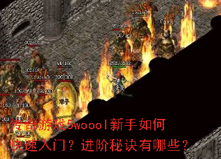 ������Ϸ5woool������ο������ţ������ؾ�����Щ��