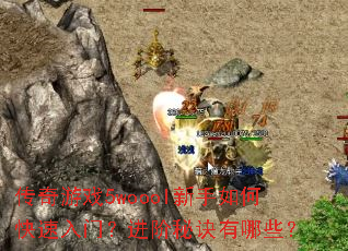 ������Ϸ5woool������ο������ţ������ؾ�����Щ��