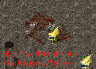 ��ʿ׷�䣺����SF�в��������������������������ܣ�