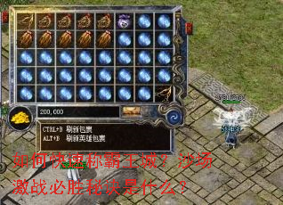 ��ο��ٳư����ǣ�ɳ����ս��ʤ�ؾ���ʲô��