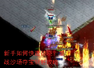 ������ο�����������սɳ���ᱦ��ʤ����