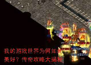 �ҵ���Ϸ����Ϊ��������ã����湥�Դ����