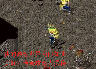 �ҵ���Ϸ����Ϊ��������ã����湥�Դ����