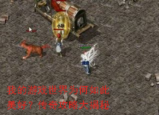 �ҵ���Ϸ����Ϊ��������ã����湥�Դ����