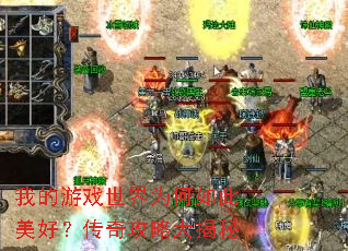 �ҵ���Ϸ����Ϊ��������ã����湥�Դ����