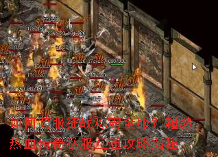 ��ο����ս�ư�ȫ������ȼ��Ѫ����˽����ͨ���Խ���