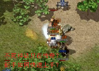 不死神话只在传奇?新手如何快速上手? 不死神话只在传奇?新手如何快速上手?