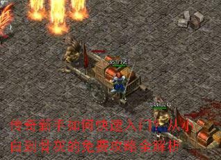 传奇新手如何快速入门?从小白到骨灰的免费攻略全解析 传奇新手如何快速入门?从小白到骨灰的免费攻略全解析