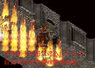 ����������ο������ţ���С�׵��ǻҵ���ѹ���ȫ����