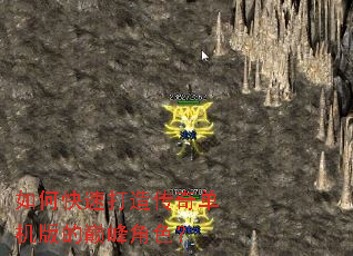 ��ο��ٴ��촫�浥������۷��ɫ��