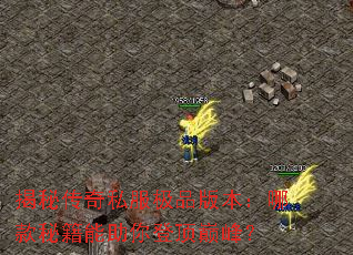 ���ش���˽����Ʒ�汾���Ŀ��ؼ�������Ƕ��۷壿