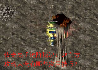 ������ֽ����ؾ���GM�ٷ����Դ�ȫ����Щʵ�ü��ɣ�