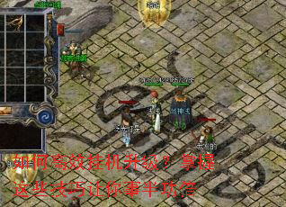 ��θ�Ч�һ�������������Щ���������°빦��