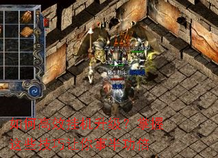 ��θ�Ч�һ�������������Щ���������°빦��