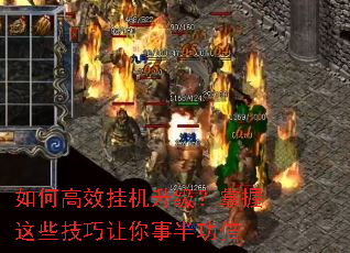 ��θ�Ч�һ�������������Щ���������°빦��