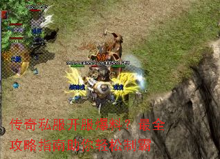 ����˽���������ϣ���ȫ����ָ�����������ư�