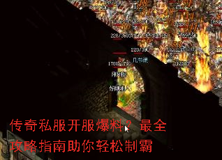 ����˽���������ϣ���ȫ����ָ�����������ư�