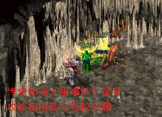 ����˽���������ϣ���ȫ����ָ�����������ư�