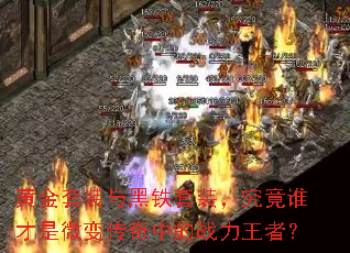 黄金套装与黑铁套装,究竟谁才是微变传奇中的战力王者? 黄金套装与黑铁套装,究竟谁才是微变传奇中的战力王者?