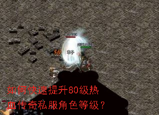 ��ο�������80����Ѫ����˽����ɫ�ȼ���