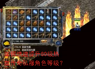 ��ο�������80����Ѫ����˽����ɫ�ȼ���