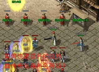 ��ο�������80����Ѫ����˽����ɫ�ȼ���