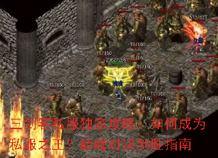 ������˽�����ҹ��ԣ���γ�Ϊ˽��֮�����۷�Ծ���ʤָ��