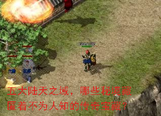 ���½��֮����Щ�ؾ������Ų�Ϊ��֪�Ĵ��汦�أ�