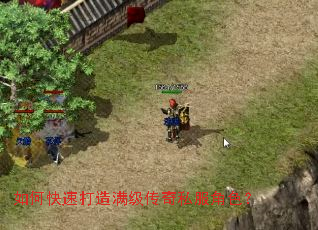 ��ο��ٴ�����������˽����ɫ��