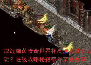 ��ս���������籭����ֱ����ô�棿���߹����ؼ���������ʢ��