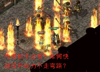 �������ֱؿ�����ο�������ս��������·��