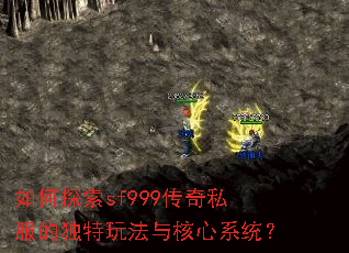 ���̽��sf999����˽���Ķ����淨�����ϵͳ��