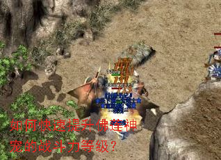 ��ο���������������ս�����ȼ���