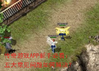 ������ϷAPP���ֱؿ�����󳣼�������ν����