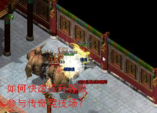 ��ο��������ȼ����봫�澺������