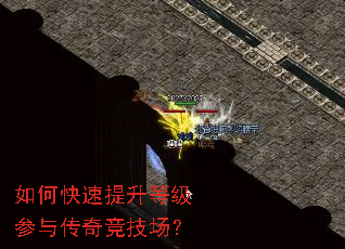 ��ο��������ȼ����봫�澺������