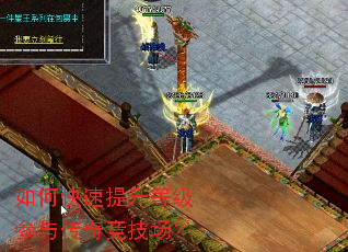 ��ο��������ȼ����봫�澺������