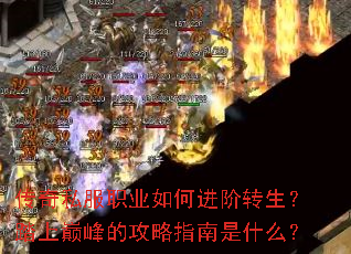����˽��ְҵ��ν���ת����̤���۷�Ĺ���ָ����ʲô��