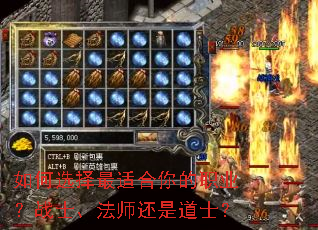 ���ѡ�����ʺ����ְҵ��սʿ����ʦ���ǵ�ʿ��