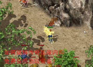 ����ƽ⴫��˽���ڹ���ѻ�ö���װ����