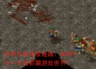 ����˽���ռ��ؼ�����β���һ��Ǯ�ư���Ϸ���磿