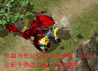 ��Ѫ���湫������ҹ��ԣ���δ����ֿ��ٳɳ�Ϊ�귨������