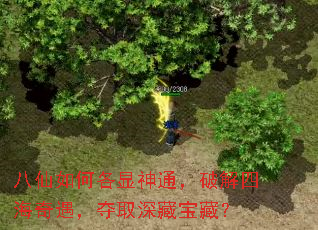 八仙如何各显神通,破解四海奇遇,夺取深藏宝藏? 八仙如何各显神通,破解四海奇遇,夺取深藏宝藏?