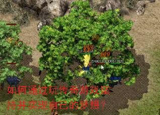 ���ͨ���洫����Ϸ��ֲ�ʵ���Լ������룿